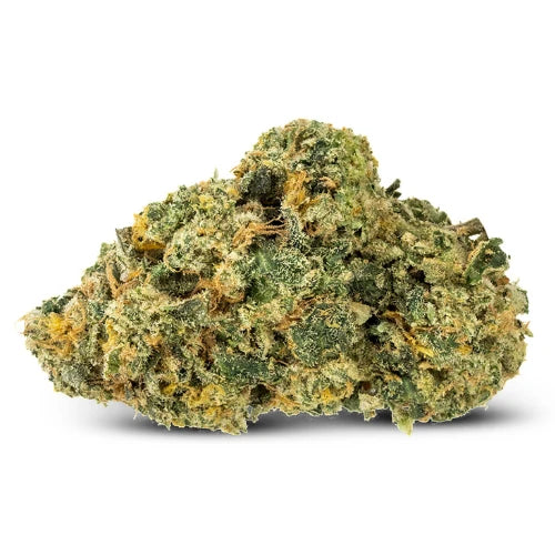 AK-OG (🇳🇱 Amsterdam Genetics)