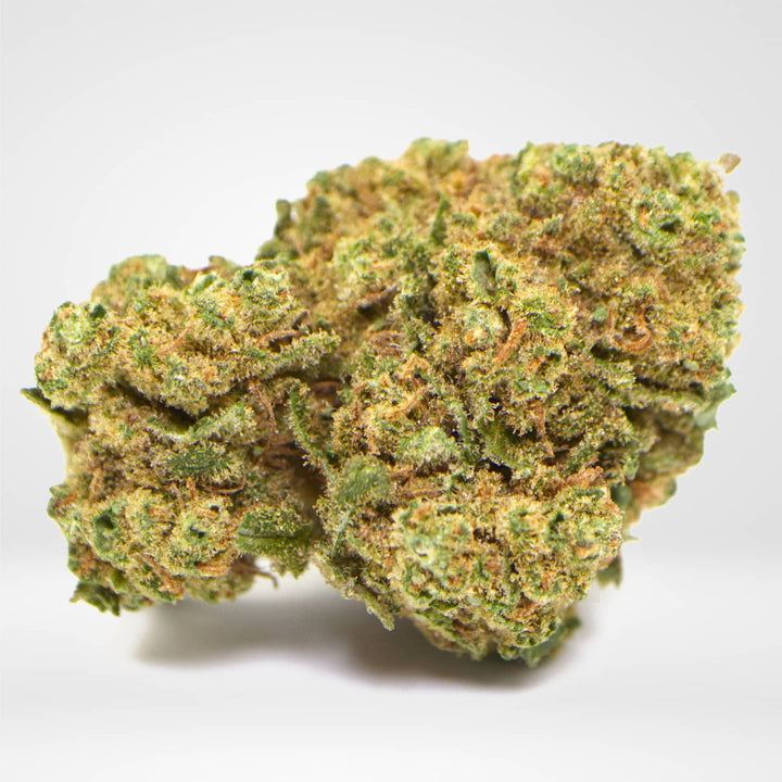 Amnesia CBHC