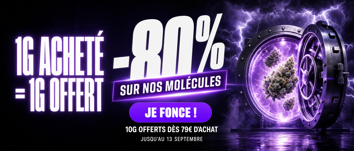 Nouvel arrivage — jusqu'à -80%