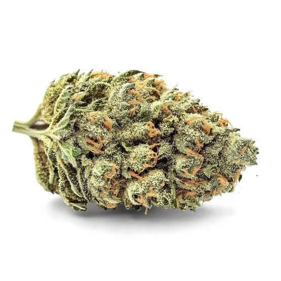 Amnesia Haze ( 🇺🇸 Cali )