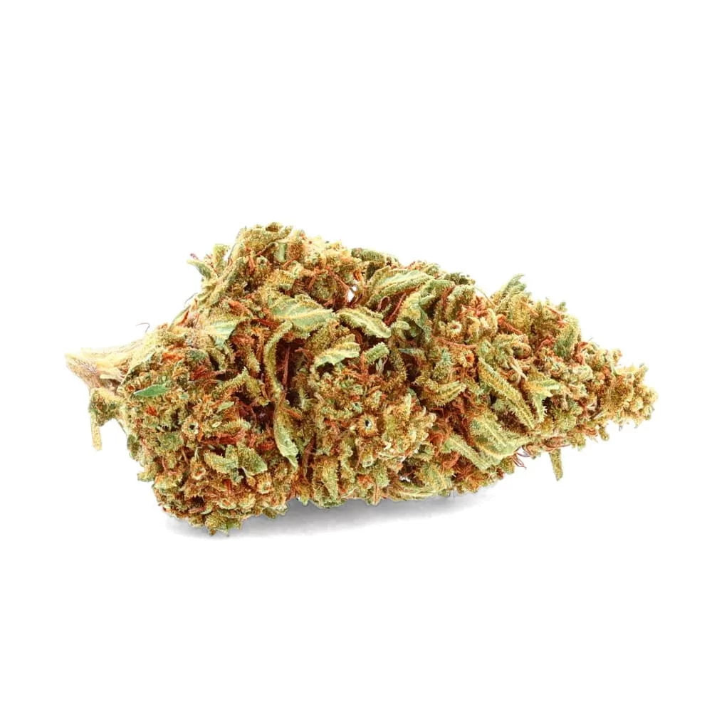 Orange Bud